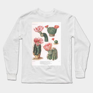 Cactus plants Long Sleeve T-Shirt